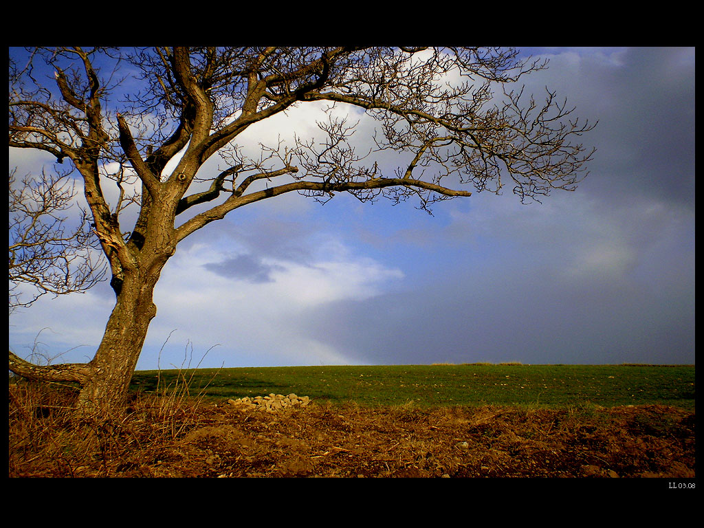 Storm