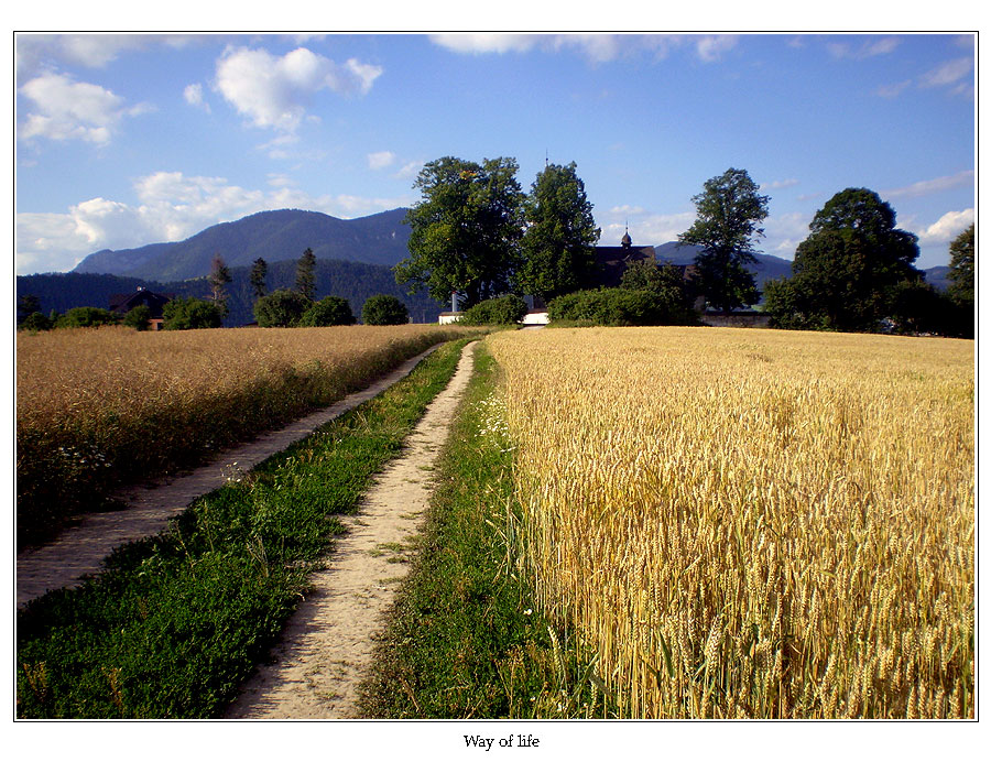 Way to nowhere