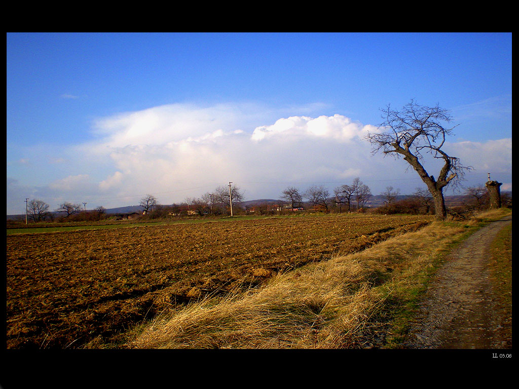 Field