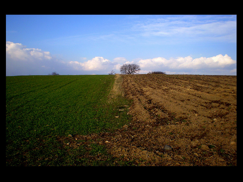 Boundary