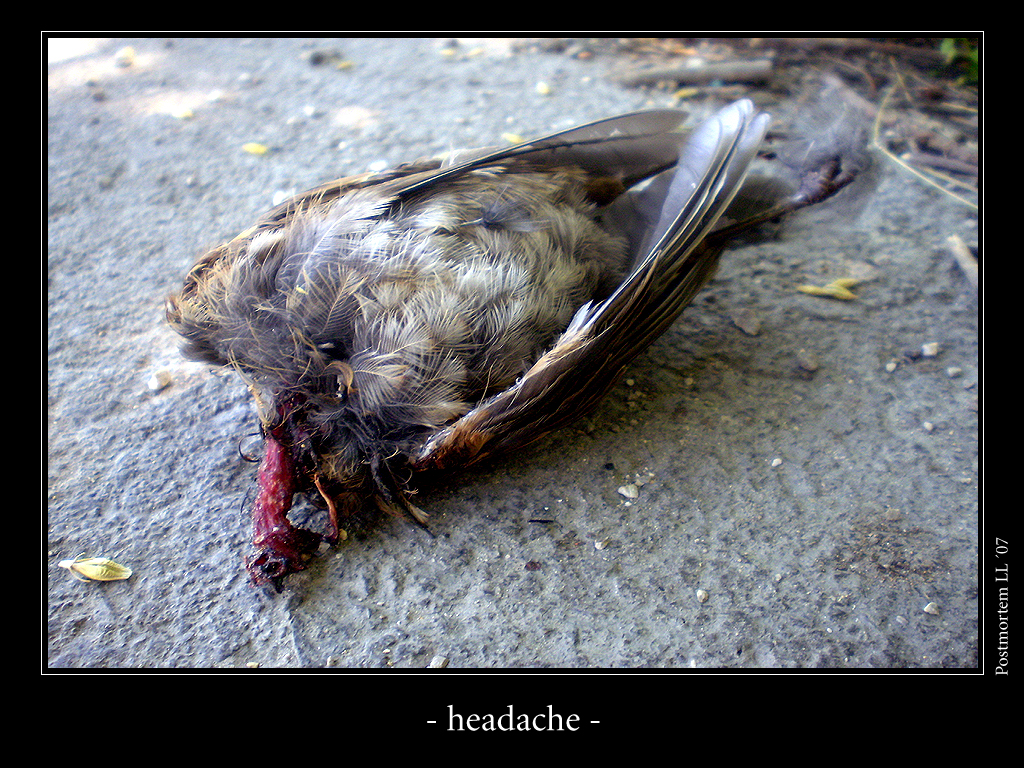 Headache