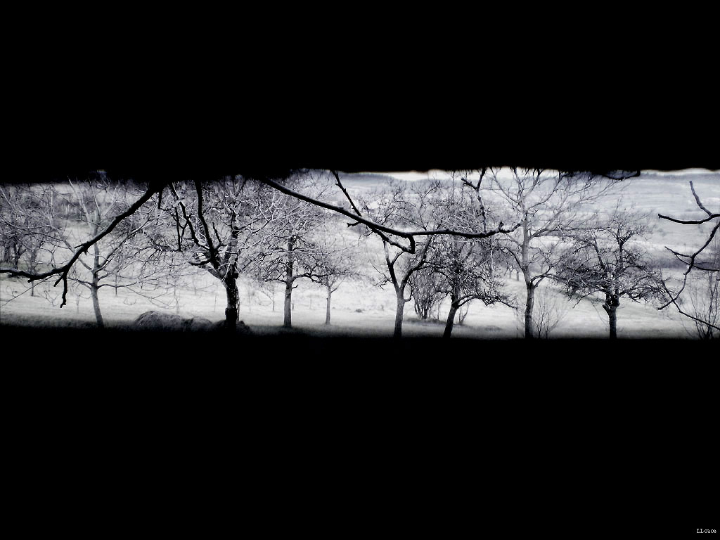 Frozen