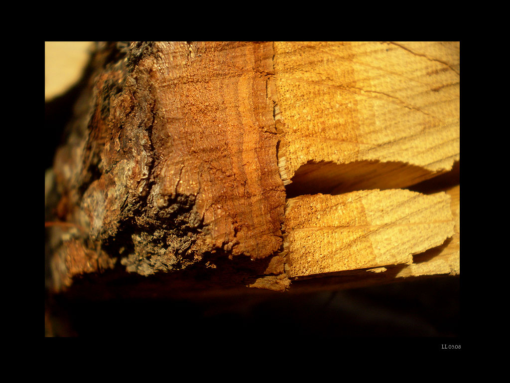1 Wooden