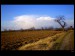 Field